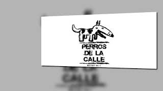 Perros de la Calle  Secciones  NO ME JUZGUEN  05032018 [upl. by Allez]