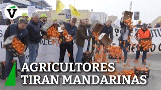 Agricultores tiran mandarinas en el puerto de Castellón [upl. by Tiffy183]