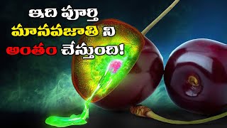 ప్రపంచంలోనే అత్యంత ప్రమాదకరమైన CHEMICALS  Most Dangerous amp Deadliest CHEMICALS in the WORLD [upl. by Berkshire997]