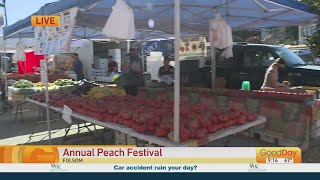 Peach Festival [upl. by Nob]