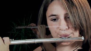 Lord of the Rings  In Dreams  Flute [upl. by Zellner]