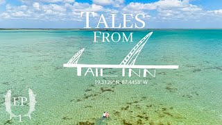 Fly Fishing For Bonefish Tarpon and Permit at a Brand New Lodge  Tales from Tail Inn Episode 1 [upl. by Pasadis475]