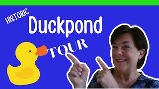 Tour of Duckpond Gainesville FL Real Estate [upl. by Odnumde]