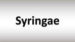 How to Pronounce Syringae [upl. by Akirea]