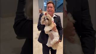 Amigão leonardo leandroeleonardo sertanejo pets goiás musica goiânia shorts leo cachorro [upl. by Alahsal423]