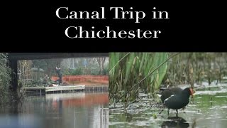 Chichester Canal Trip [upl. by Irehj]