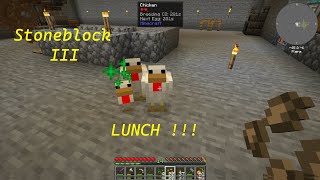 Stoneblock 3  Lunch [upl. by Nilyam]