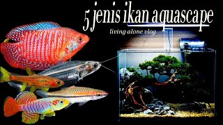 5 JENIS IKAN AQUASCAPE YANG WAJIB KAMU PUNYA ‼️ [upl. by Enialehs]