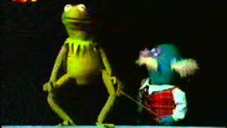 Sesamstraße  Kermit und Professor Hastig  Körperteile deutsch [upl. by Rutra360]