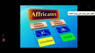 Phonetics Affricates الأصوات المركبة [upl. by Mackay290]