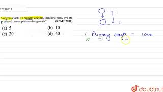 5 oogonia yield 10 primary oocytes then how many ova are produced on completion of oogenesis [upl. by Sand]