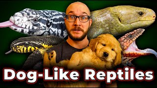 5 More Reptiles That Act Like Dogs  No Fur No Allergies Just Love [upl. by Annabelle]