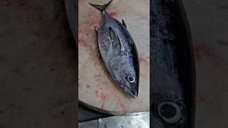 Tips for cutting a tuna fish cutting skillsshorts [upl. by Atirma]