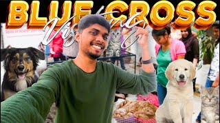 Visit Blue cross Hospital Chennai  Blue cross of Tamilnadu  Free adoption  pet clinic sheik vlog [upl. by Ethelinda]