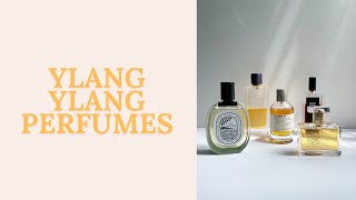 Top Ylang Ylang Perfumes [upl. by Armilla]