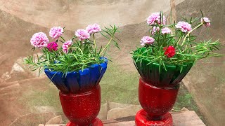 New Best amp Easy Recycling Plastic Baskets to Portulaca Cuttings Hanging Garden Ideas New Best [upl. by Sandon]