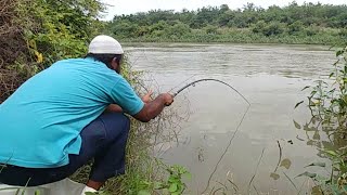 Fish huntingBig Tilapia FishingButter catfish [upl. by Carrillo]