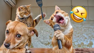 Funniest Animals 😄 New Funny Cats and Dogs Videos 😹🐶  Part 8 [upl. by Salim]