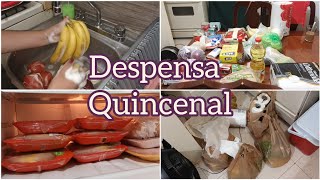 DESPENSA QUINCENAL PARA 2 PERSONAS 》RUTINA DESPUES DEL SUPER 》MI GASTO DE 2500 PESOS [upl. by September]