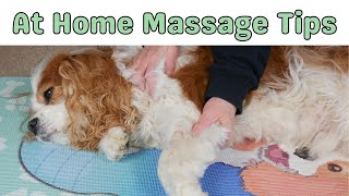 AtHome Dog Massage Techniques for Ultimate Canine WellBeing 🐶 [upl. by Nnaeoj]