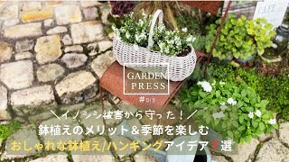 【お庭をおしゃれに】鉢植えのアイデア7選＆鉢植えのメリット紹介イノシシ被害から守ったわが家の鉢植えガーデン｜ガーデニング｜50代の庭｜手間いらずの庭 [upl. by Valentine]