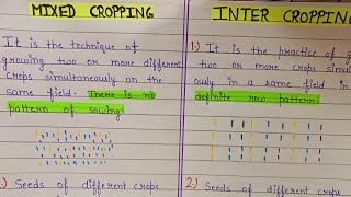 Difference between mixed cropping and inter cropping  mixed cropping and inter cropping [upl. by Leone679]