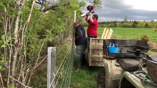 Fencing Using Steel Posts And Clip In Wire [upl. by Weide]