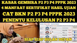 KABAR GEMBIRA  INI 4 MANFAAT SERTIFIKAT HASIL UJIAN CAT BKN P2 P3 P4 PPPK 2023 [upl. by Attelahs]