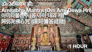 Buddhist chant ॐ अमिताभ ह्रीः Amitabha MantraOm Ami Dewa Hri 아미타불심주 阿弥陀佛心咒  Tibetan Mantra Song [upl. by Line949]