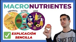 Qué son los MACRONUTRIENTES 🍎 EXPLICADO  Carbohidratos proteinas y grasas [upl. by Fabio453]