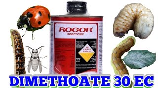 ROGOR INSECTICIDE DIMETHOATE 30 EC [upl. by Nyllewell]