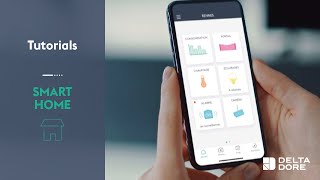 How to access your Delta Dore connected home [upl. by Kippy868]