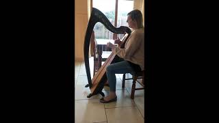 Samhradh Samhradh Performed by Fiana Ní Chonaill [upl. by Wengert]