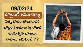 Chollangi Amavasya  పితృ దోషం తొలగడానికి చొల్లంగి అమావాస్య రోజున చేయాల్సిన పూజలు దానాలు ఏమిటంటే [upl. by Yarehs365]