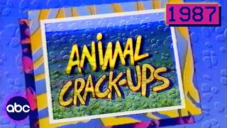 Animal CrackUps wguest Betty White  1987 ABC Full Episode with Original Commercials [upl. by Rehpotsrhc]