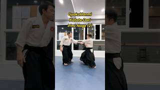 Aikido Practice 10  GyakuHanmi Katate Dori Irimi Nage 2 [upl. by Tobi]