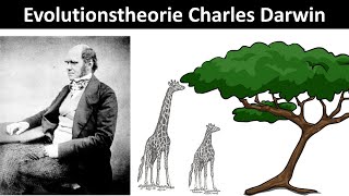 Evolutionstheorie nach Charles Darwin Prinzip der natürlichen Selektion  Biologie Oberstufe [upl. by Emmer]