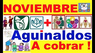 NOVIEMBRE AGUINALDOS A COBRAR  PENSIONES IMSS E ISSSTE  PAGOS BIENESTAR EN NOV SALUD CASA X CASA [upl. by Llenyr]