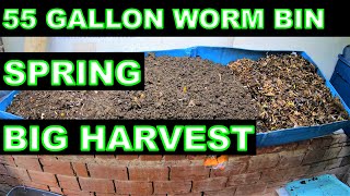 55 Gallon Worm Bin Harvest Feed and Seed Starting Mix [upl. by Greenwood]