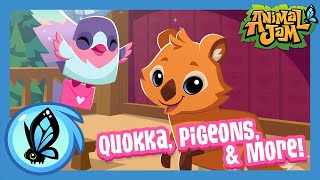 QUOKKA Pigeons amp More  Animal Jam Update [upl. by Dulcy366]