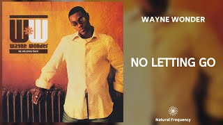 Wayne Wonder  No Letting Go 432Hz [upl. by Axe]