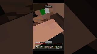 Subah Subah Villager Ki Shakal Dekh Li🤮 quotMinecraft Hardcore Day 4 [upl. by Perron]