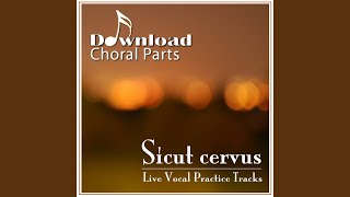 Sicut cervus  Soprano Emphasized [upl. by Criswell]