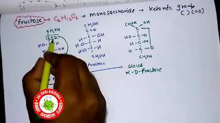 FRUCTOSE  ALL STRUCTURE [upl. by Easton]