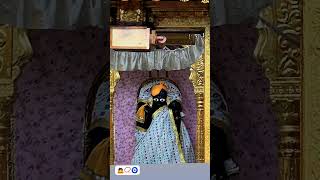 Shri Ranchhodraiji live Darshan Dakor Temple [upl. by Sirdna]