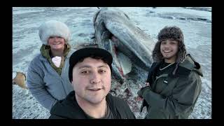 Beached Whale on the Coastal Trail Anchorage AK [upl. by Samuelson]