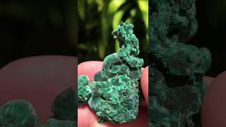 Velvet Malachite from Rum Jungle Northern Territory Australia [upl. by Nykal]