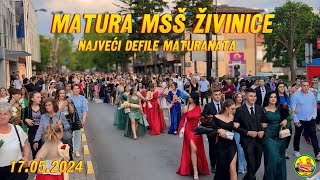 Matura MSŠ Živinice  Najveći defile maturanata 17052024 [upl. by Elinor]