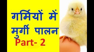 Poultry Management In Hot Summer Part2  पूरी दवा जानकारी  Poultry India TV [upl. by Nork]