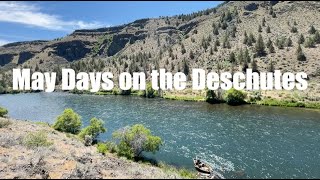 Deschutes River spring fly fishing and drift boat campout [upl. by Ellesirg116]